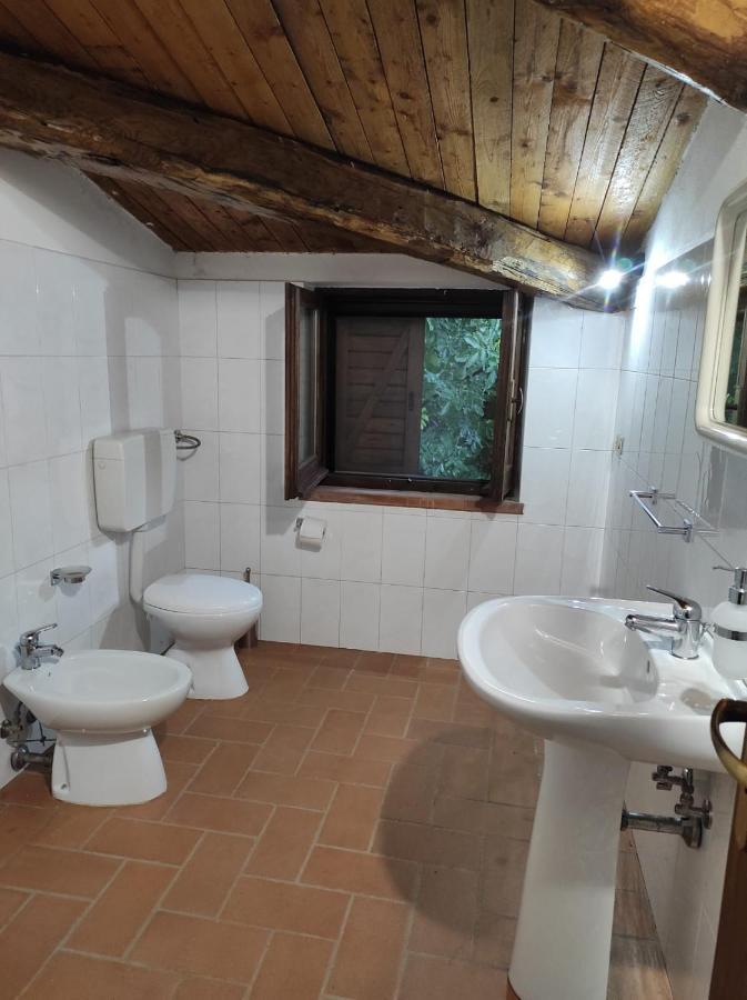 Agriturismo Difesa Del Monte Grisolia Luaran gambar